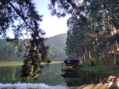 Ban Pang Paek - Photo 5
