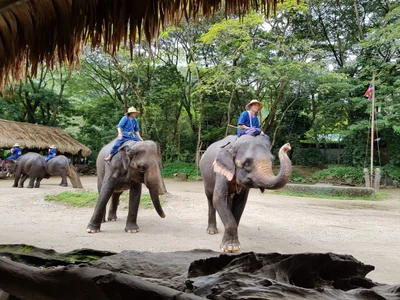 Ban Mae Taman - Photo 5