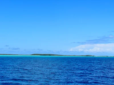 Samana - Photo 2