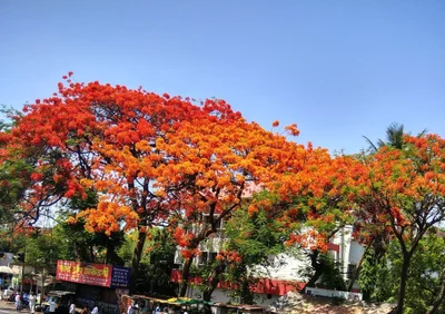 Ahilyanagar - Photo 2
