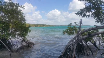 Buenavista - Photo 2