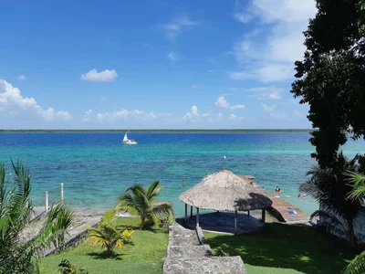 Buenavista - Photo 3
