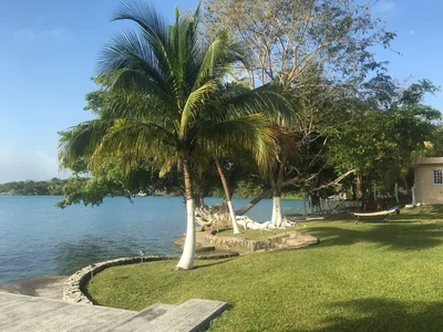 Buenavista - Photo 4