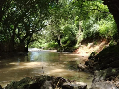 Alpuyeca - Photo 2