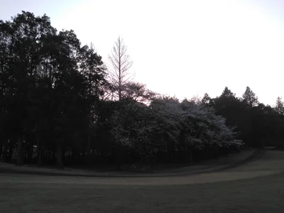 Hokota - Photo 3