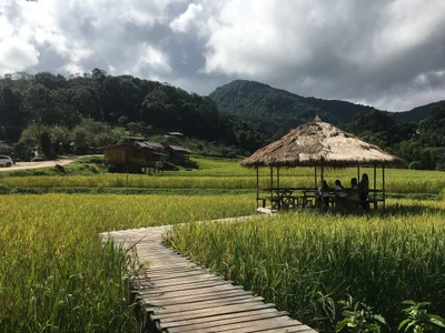 Mae Klang Luang - Photo 3