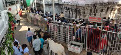 Vemulawada - Photo 5