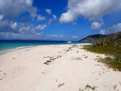 Sandy Cay - Photo 5