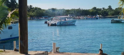 San Rafael del Yuma - Photo 5