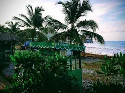 Jacmel - Photo 4