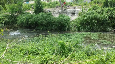 Cabral - Photo 5