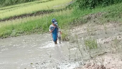 Bung Khla - Photo 2