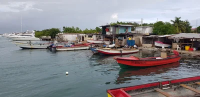 Port Royal - Photo 2