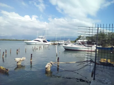 Port Royal - Photo 3