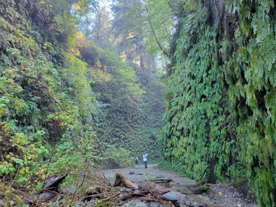 Redwood National Park - Photo 3