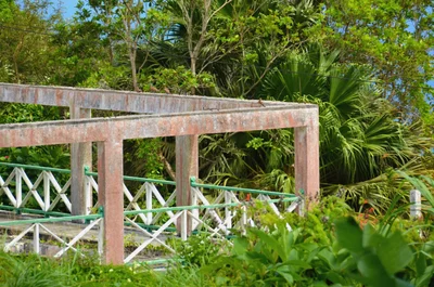 Windwardside - Photo 5