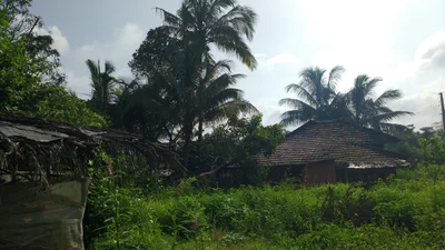 Dagaon - Photo 2