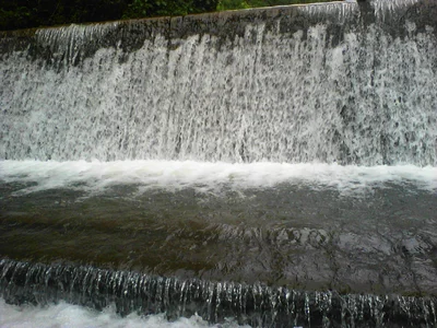 Dagaon - Photo 4
