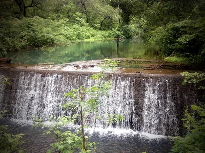 Dagaon - Photo 5