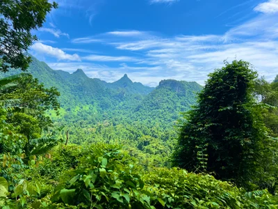 Phong Nha Commune - Photo 2