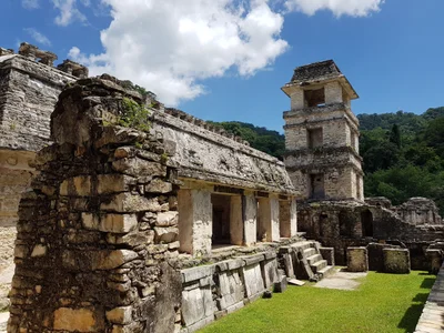 Palenque - Photo 3