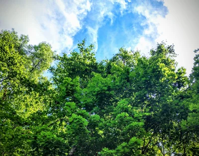 Sparkill - Photo 2