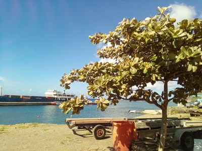 Oranjestad - Photo 2
