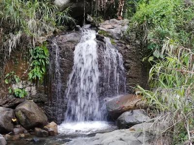 Tabuk - Photo 3