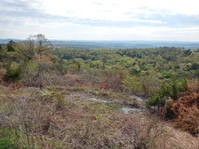 Branson West - Photo 2