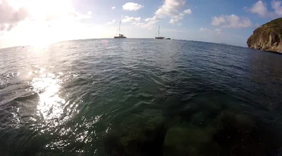 Little Bay - Photo 5