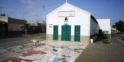 Palmeira - Photo 5