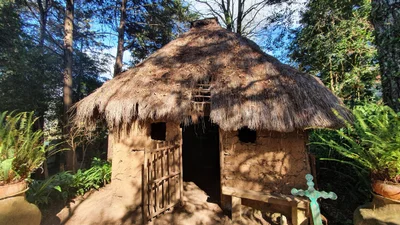Na Bolom - Photo 5