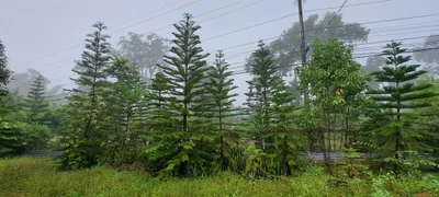 Nam Nao District - Photo 4
