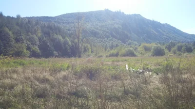 Glenoma - Photo 3
