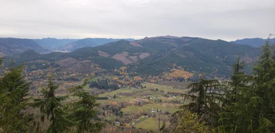 Glenoma - Photo 5