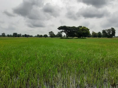 Maha Sarakham - Photo 3