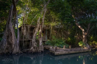 Indian River - Photo 4