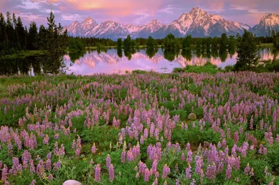 Grand Teton National Park - Photo 5