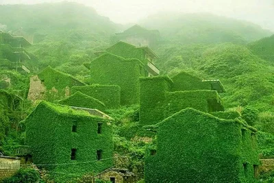 Zhoushan - Photo 4