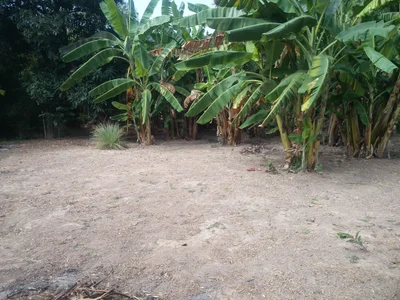 Sankhaburi - Photo 4