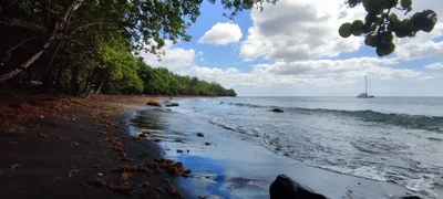 Anse Céron - Photo 4