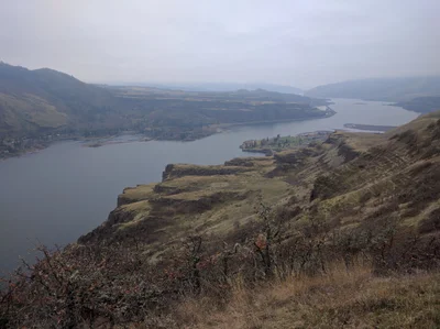 Lyle - Photo 2