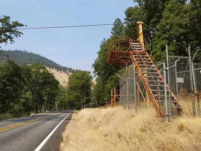 Lyle - Photo 4