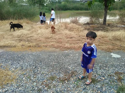 Khok Tum - Photo 3