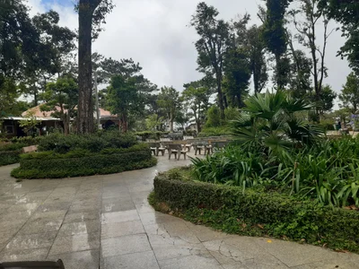 Our Lady of Mang Den - Photo 2