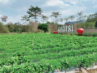 Mu Si - Photo 2