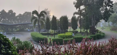 Mu Si - Photo 3
