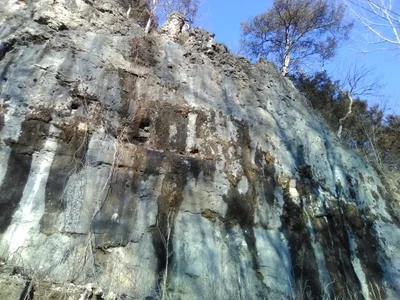 Brumley - Photo 2