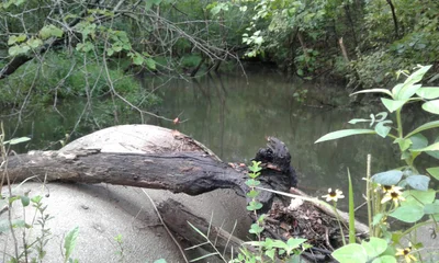 Brumley - Photo 4
