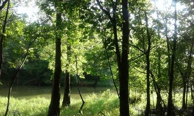 Brumley - Photo 5